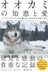 オオカミの知恵と愛 ソートゥース・パックと暮らしたかけがえのない日々