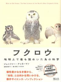 取り寄せ商品