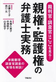 裁判官・調査官はここを見る! 親権・監護権の弁護士実務